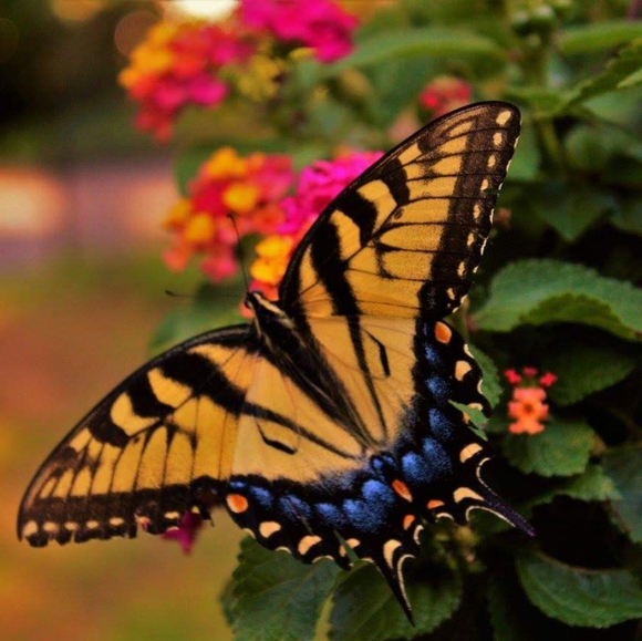 Welcome to my Page 😊💕 - Picture 7 of 8